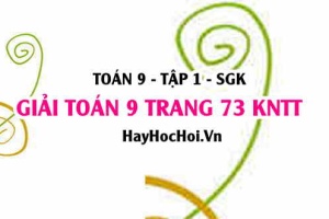 Giải Toán 9 trang 73 tập 1 Kết nối tri thức